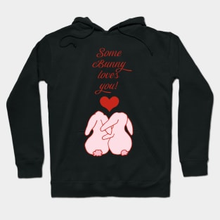 Bunny love damask pattern on red Hoodie